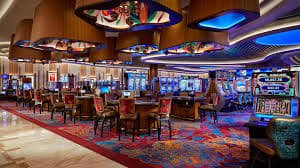 255bet