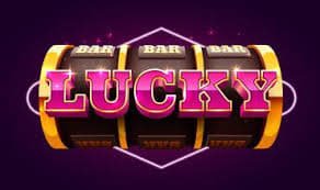 255bet 255bet